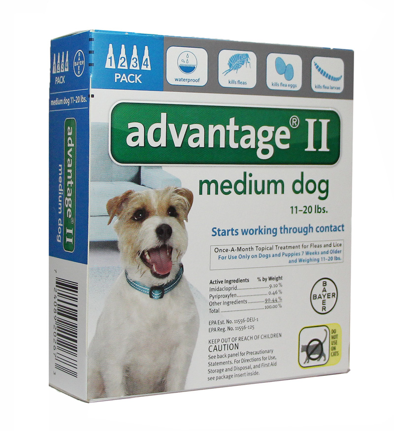revolution for dogs 11 20 lbs 12 month advantage ii flea for dogs 11 20 lbs revolution for dogs 11 20 lbs 12 month advantage ii flea for dogs 11 20 lbs