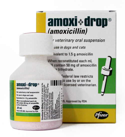 Amoxi Drop (amoxicillin) Liquid 30mL