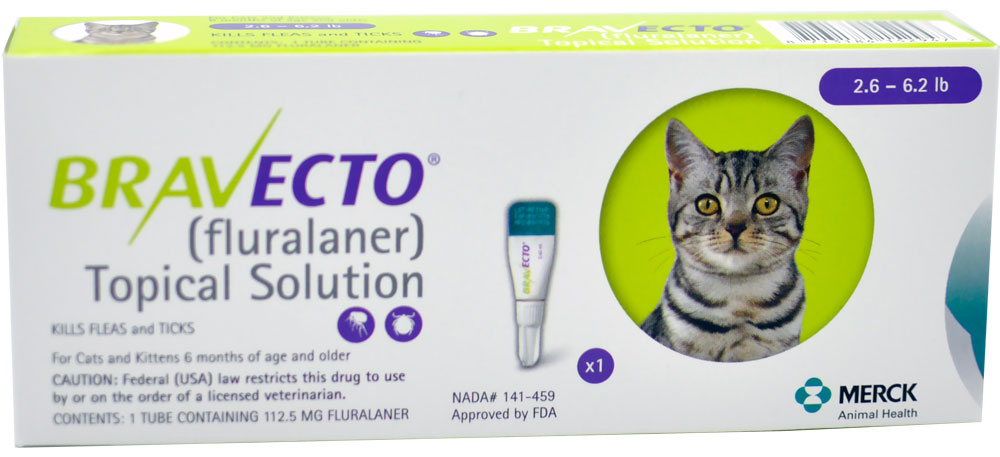 tramadol dosage for cats 6 lbs beef