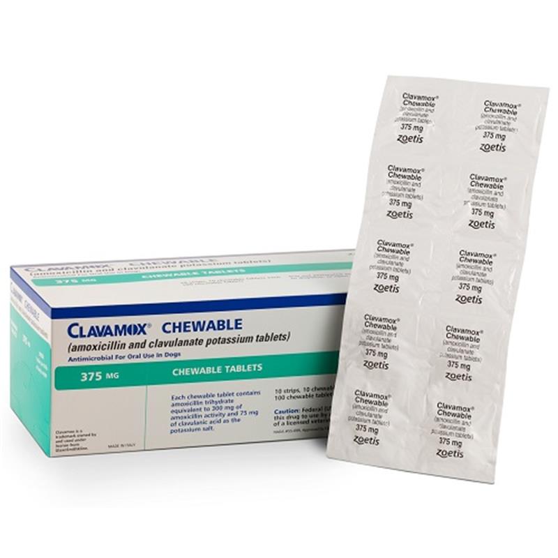 Clavamox 375mg Chewable Tablet
