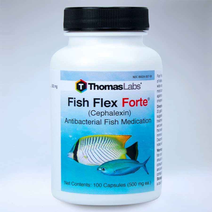 Fish Flex Forte Cephalexin 500mg 100 ct fish flex forte cephalexin 500mg 100 ct