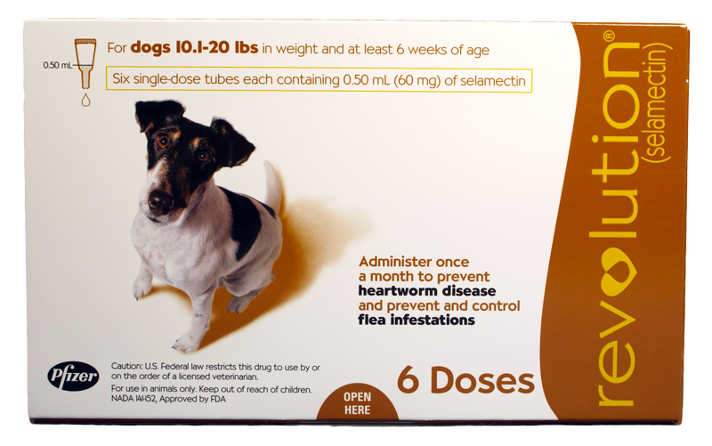 Revolution for dogs 10.1 to 20 lbs (6 Month)