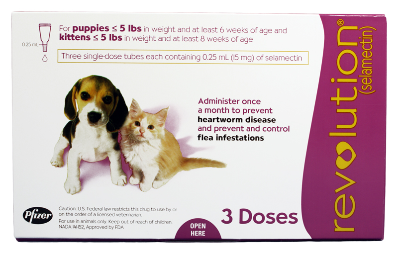 revolution for puppies and kittens revolution for puppies and kittens 3 month revolution for puppies and kittens revolution for puppies and kittens 3 month