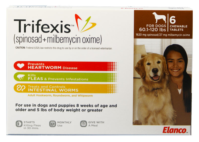 what is tramadol for dogs for arthritis