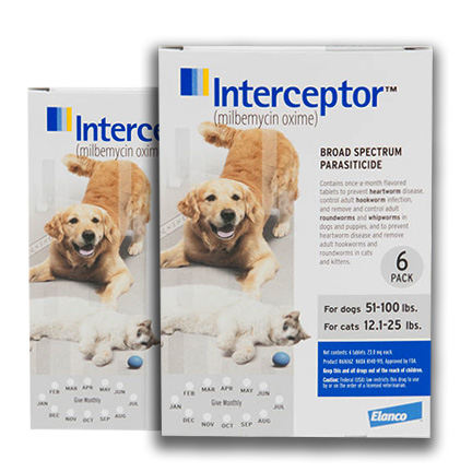 interceptor tablets for dogs