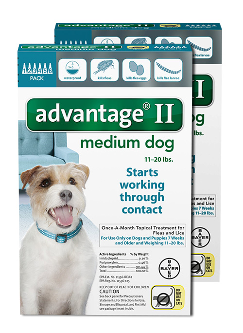 advantage flea control for dogs