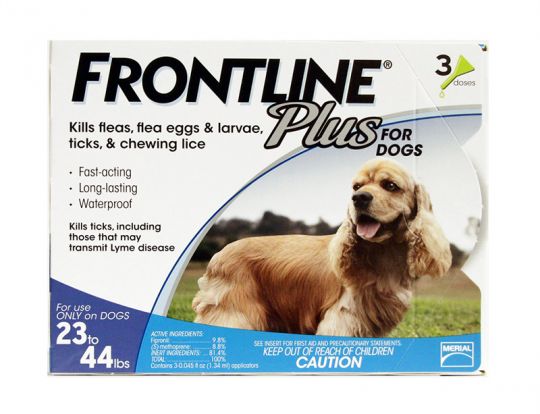frontline 3 month