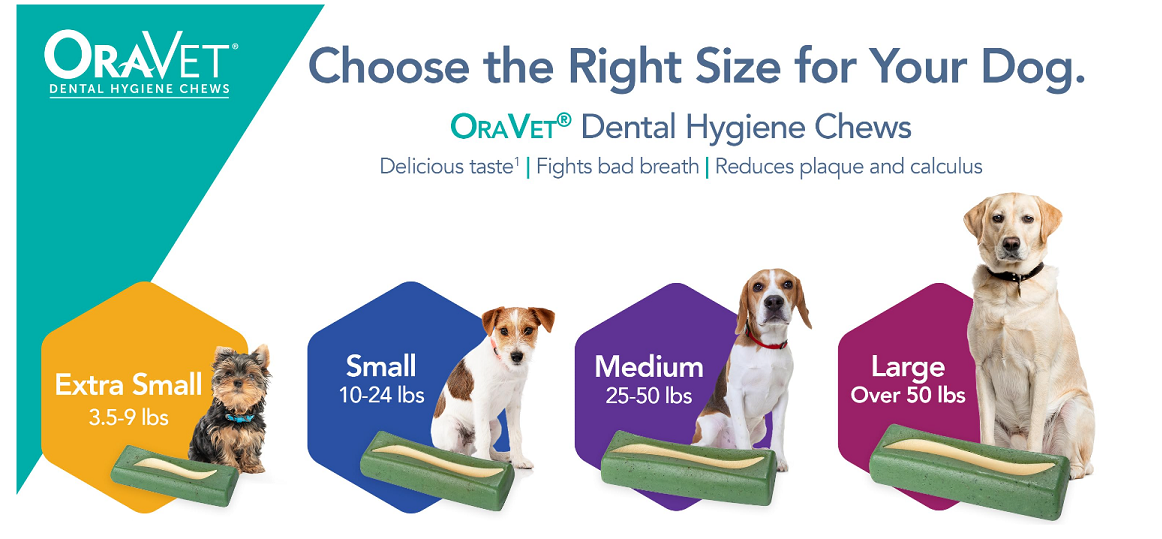 oravet chews medium