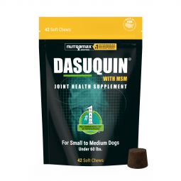 Dasuquin with MSM for Small and Medium Dogs (42 Soft Chews)