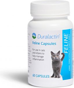 Duralactin Feline Capsules 60 Count