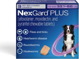 NexGard PLUS For Dogs 33.1-66 lbs 3 Month