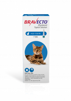 Bravecto Topical Solution for Cats 6.2 - 13.8 lbs (1 Dose)