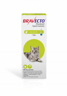 Bravecto Topical Solution for Cats 2.6 - 6.2 lbs (1 Dose)
