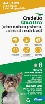 Credelio Quattro For Dogs 3.3 - 6 lbs 6 Month