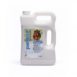 Panacur Cattle Dewormer Suspension 1 Gallon