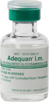 Adequan Equine 500mg/5 mL (5 mL Single Vial)