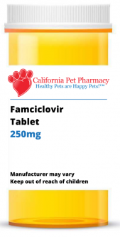 Famciclovir 250mg PER TABLET
