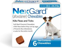NexGard For Dogs 10-24 lbs 6 Month