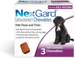NexGard For Dogs 24.1-60 lbs 3 Month