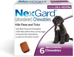 NexGard For Dogs 24.1-60 lbs 6 Month