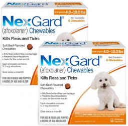 NexGard For Dogs 4-10 lbs 12 Month