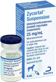 Zycortal Injectable 25mg/mL 4 mL Bottle