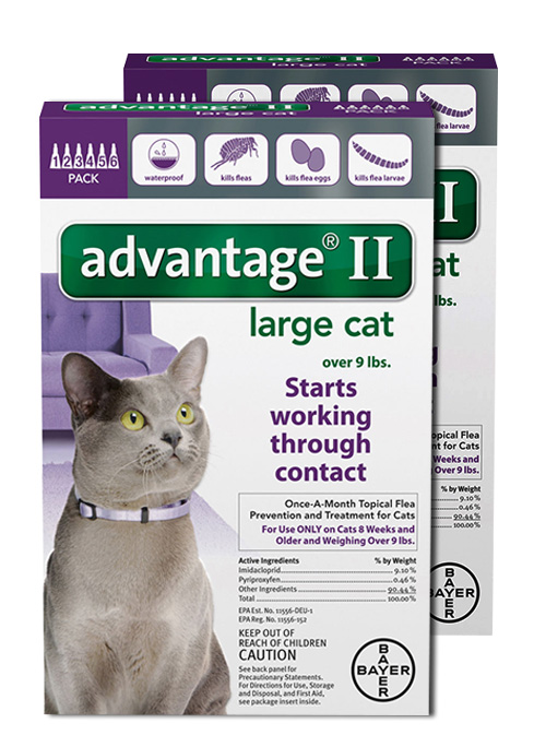 12 MONTH Advantage II Flea Control for Cats Over 9 lbs