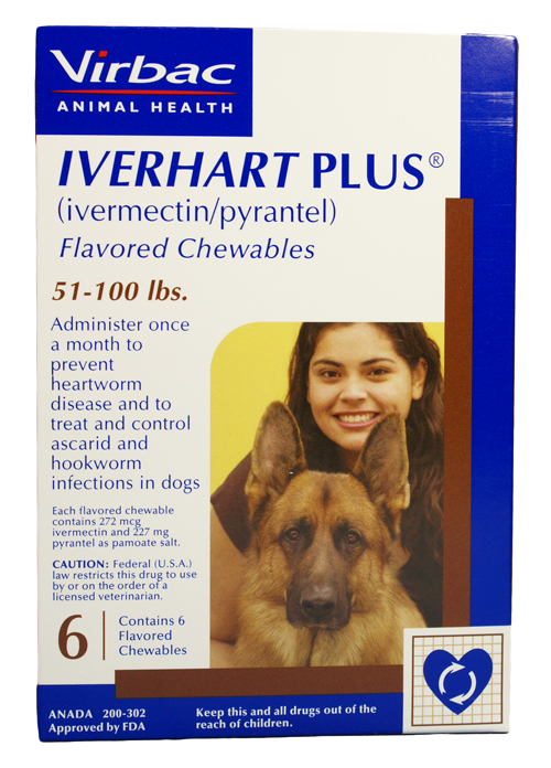 6 MONTH Iverhart Plus For Dogs 51 100 Lbs