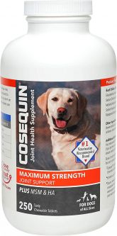 Cosequin DS Plus MSM Chewable 250 Count
