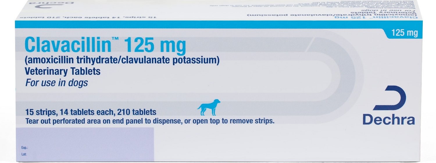 Amoxicillin Clavulanate 125mg PER TAB (Clavacillin)
