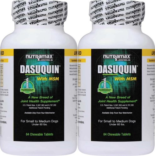 dasuquin for medium dogs