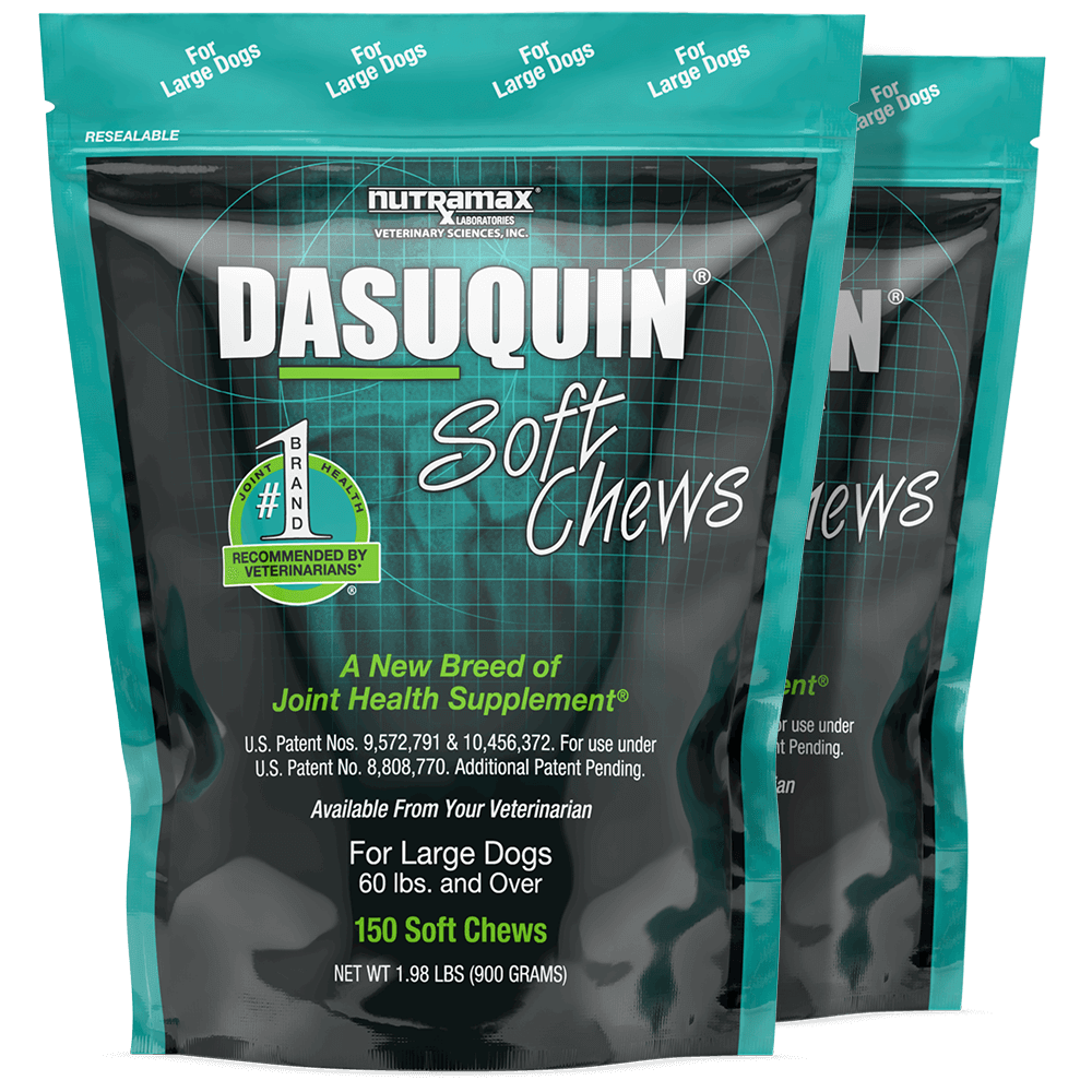 Dasuquin for Large Dogs (84 Soft Chews) 2 PACK