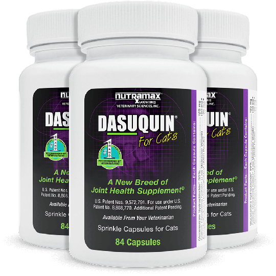 dasuquin for humans