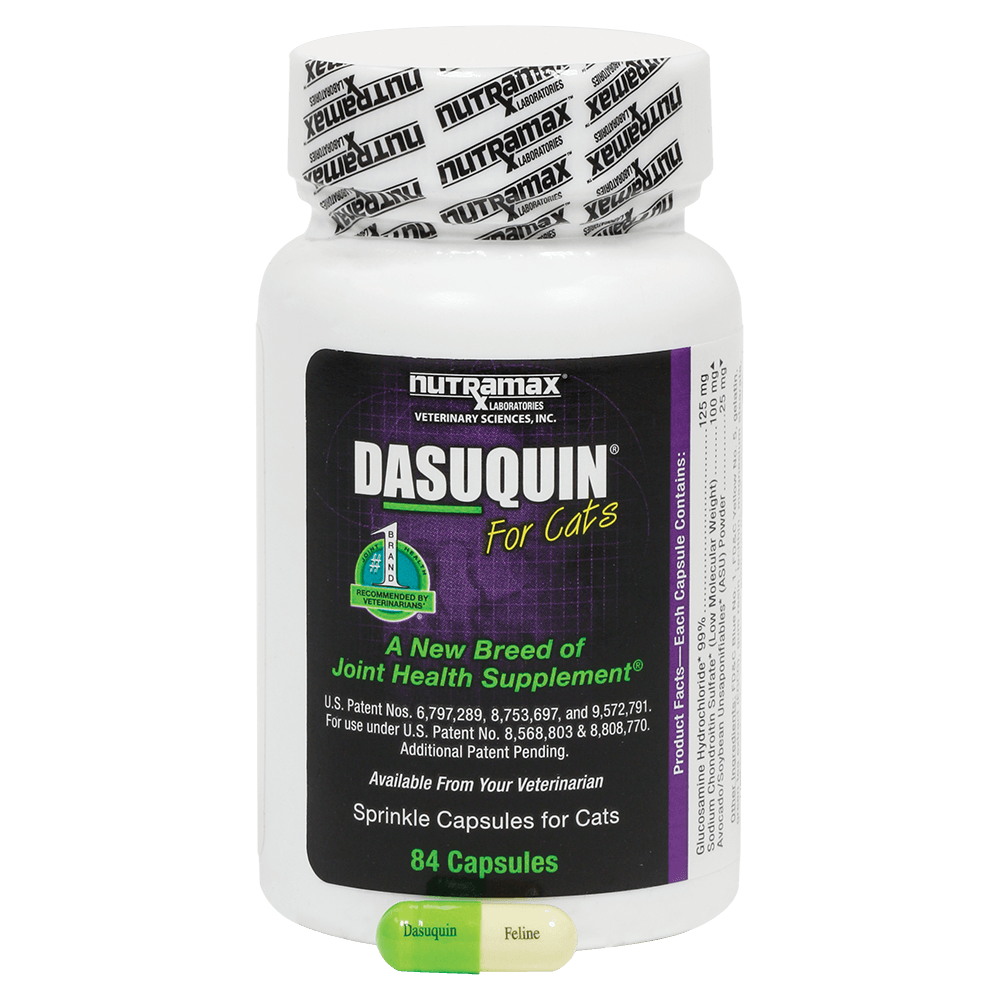 50+ Where To Buy Dasuquin Advanced For Cats Photos Pet Adoption Slogans