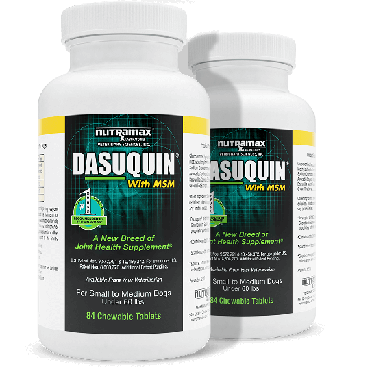 Dasuquin for medium dogs top