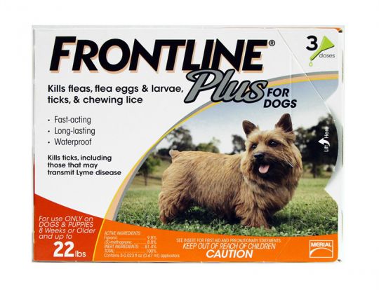 frontline 3 month