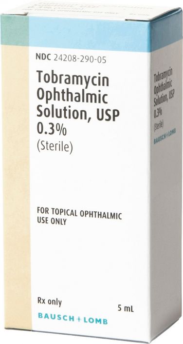 neo poly gram ophthalmic solution for dogs