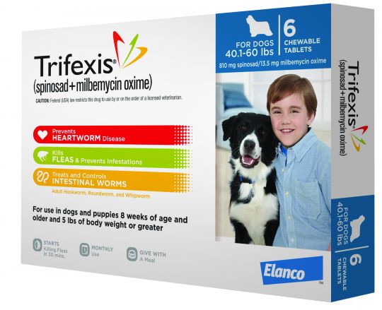 trifexis not killing fleas