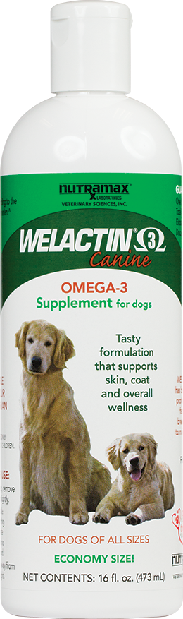 nutramax welactin for dogs
