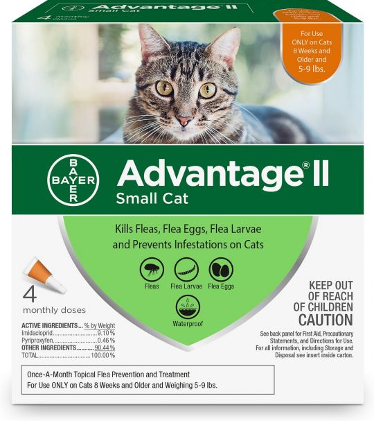 advantage 2 small cat 4 pack
