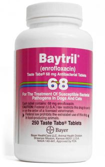 Baytril 68 mg per Chewable Tab
