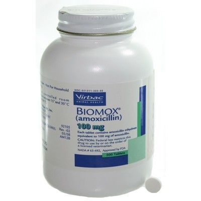 Amoxicillin tablets for sale