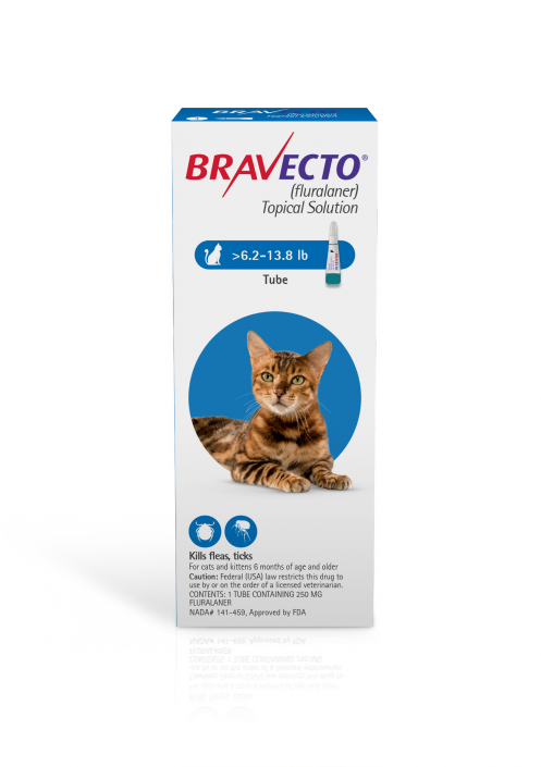 Bravecto Topical Solution For Cats 6 2 13 8 Lbs 1 Dose