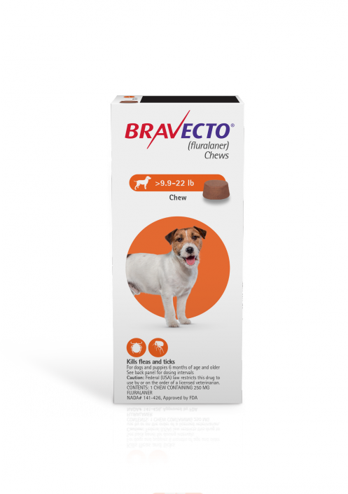 Bravecto 250 Mg For Dogs 9 9 22 Lbs 6 Chews Bravecto 250 Mg For Dogs 9 9 22 Lbs 6 Chews