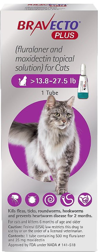 medicine cat code medicine cat code