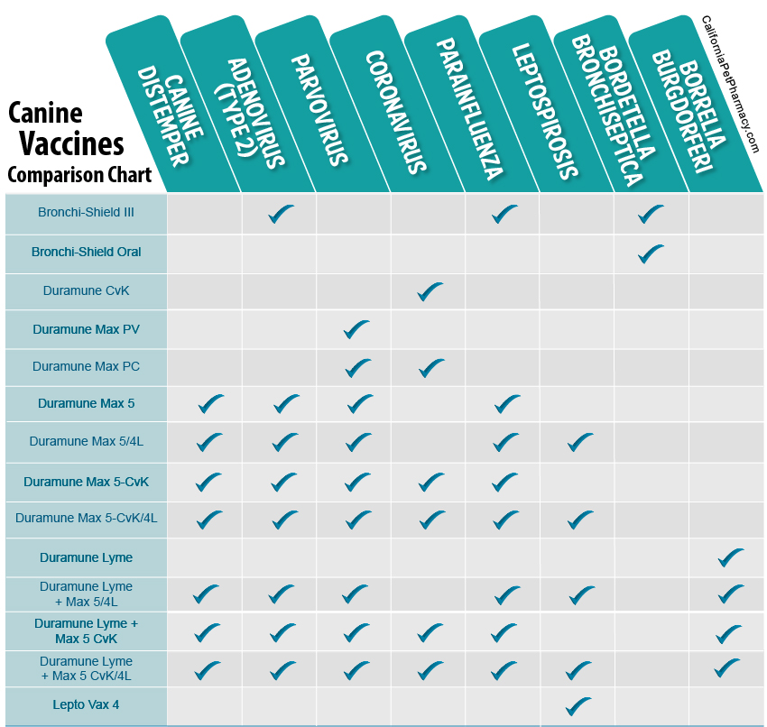 Nexgard Dosage Chart