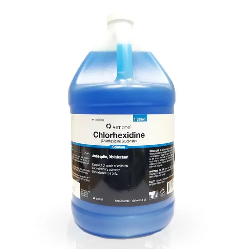 Chlorhexidine 2 Solution Disinfectant 1 Gallon