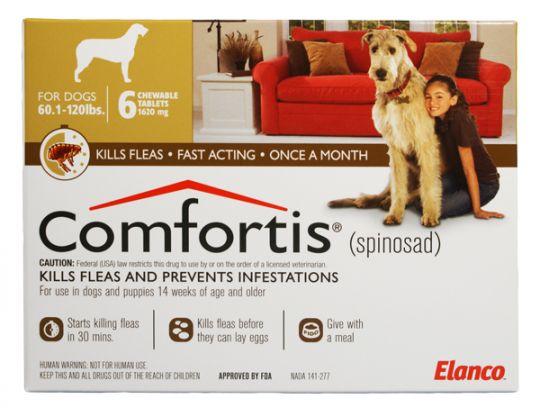 comfortis flea medication for dogs