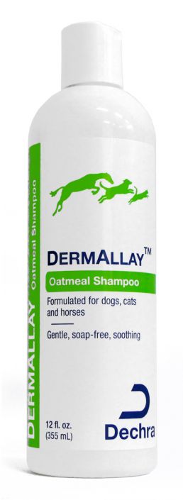 dermallay shampoo
