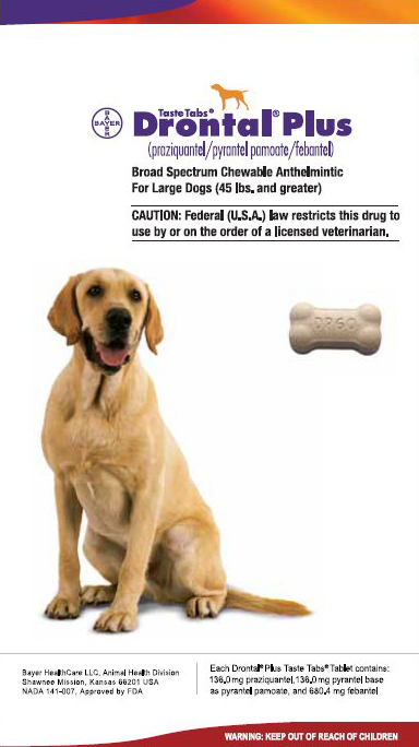 drontal plus tablet price